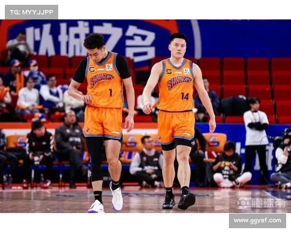 CBA半决赛精彩看点:各队阵容分析 CBA半决赛精彩看点:各队阵容分析