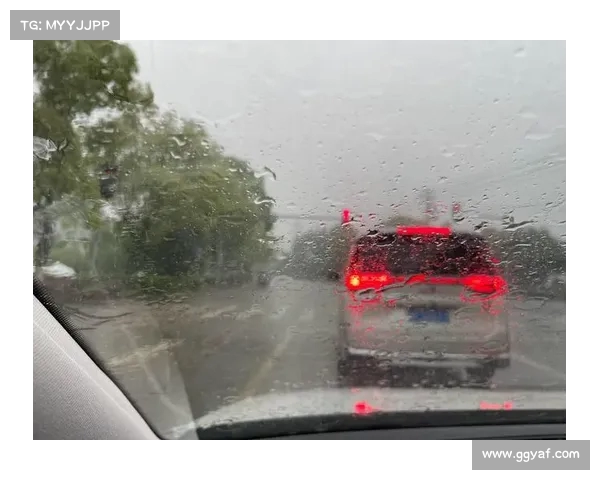 雨势未停!河北迎来中到大雨+暴雨,今天下班记得早点回家 雨势未停!河北迎来中到大雨+暴雨,今天下班记得早点回家